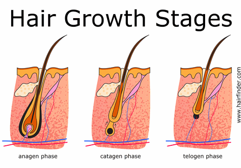 natural methods to regrow lost hair